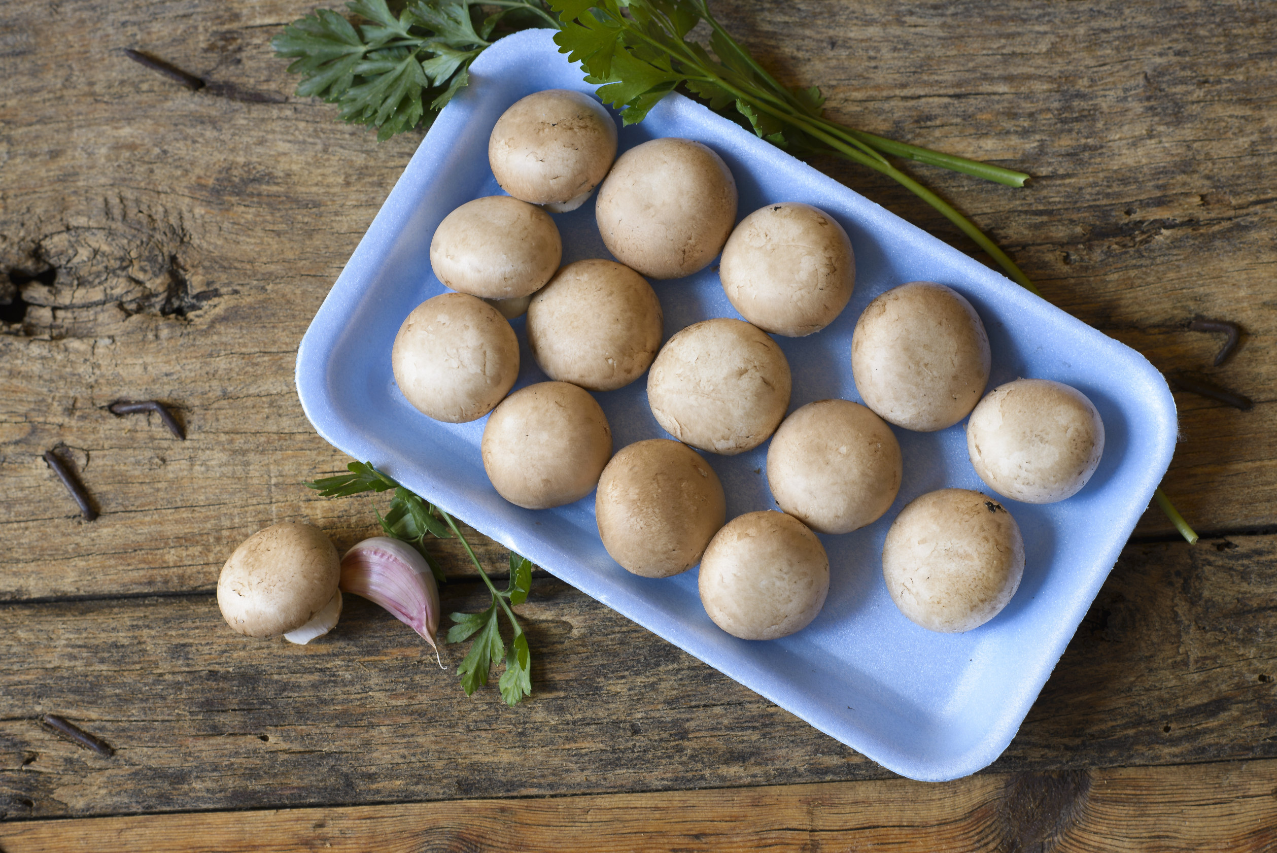 Champiñón Portobello